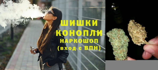 дурь Алзамай
