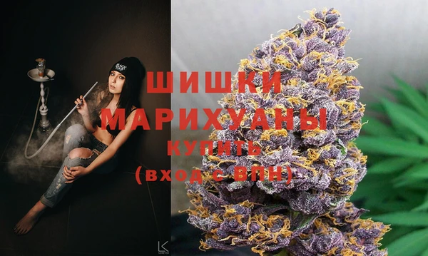 дурь Алзамай