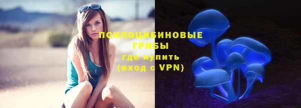 дурь Алзамай