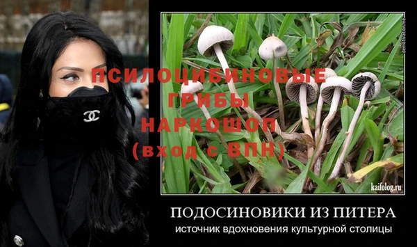 дурь Алзамай