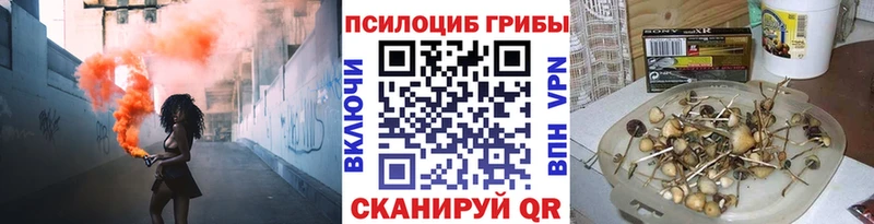 Галлюциногенные грибы Magic Shrooms Малоархангельск