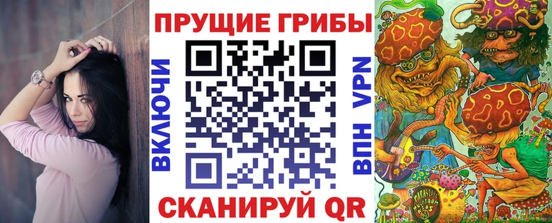Псилоцибиновые грибы Psilocybe  Малоархангельск 